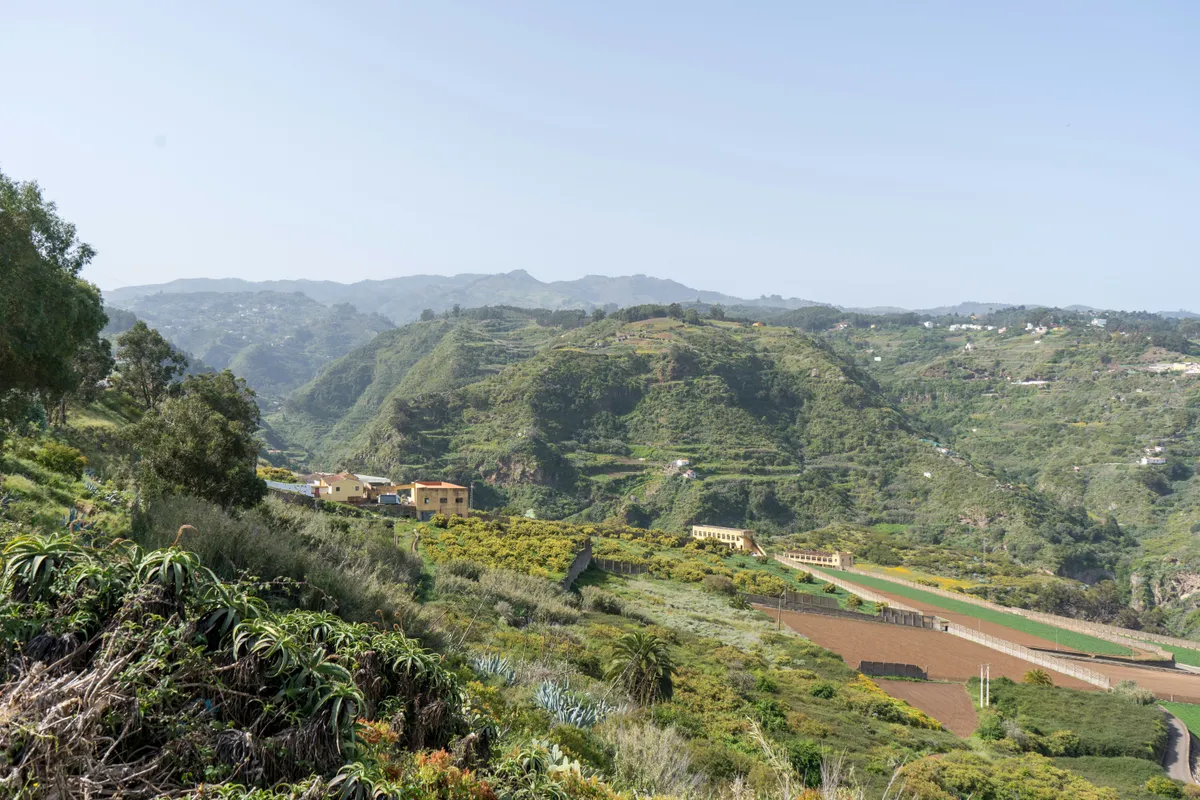 A green valley of terraces, houses and farmland around Firgas